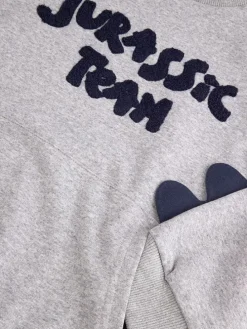 Sweatshirt in Grau