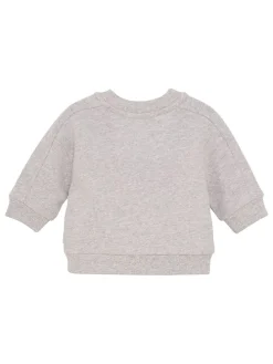 Sweatshirt in Grau