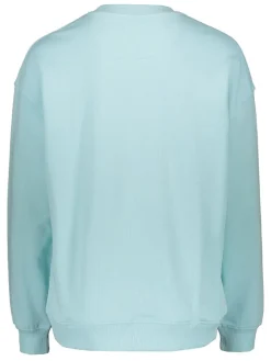 Sweatshirt in Hellblau