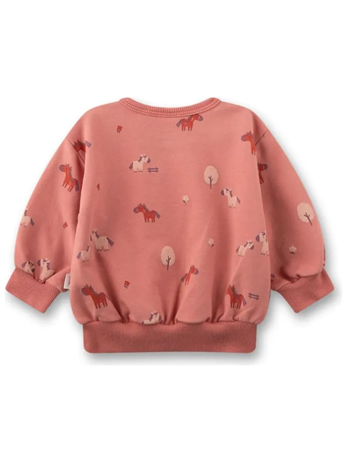 Sweatshirt in Orange