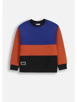 Sweatshirt ohne Kapuze in bunt