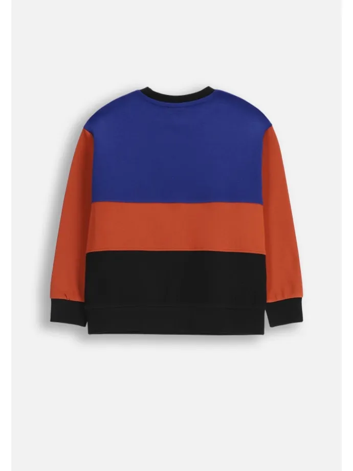 Sweatshirt ohne Kapuze in bunt