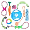 10tlg. Hundespielzeug Set