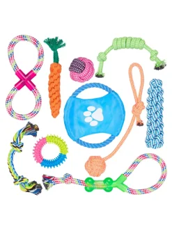 10tlg. Hundespielzeug Set