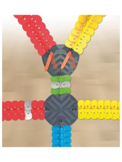 6tlg. Multi-Rennstrecken-Set