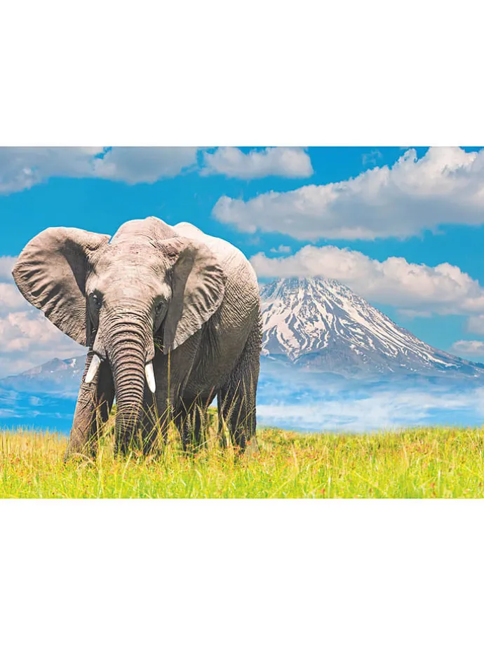 300tlg. Puzzle "African Elephant" - ab 10 Jahren
