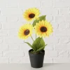 Topfpflanze "Sonnenblume" in Grün/ Gelb  - (H)33 x Ø 25 cm