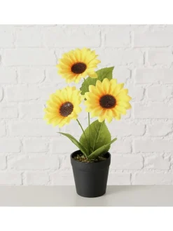 Topfpflanze "Sonnenblume" in Grün/ Gelb  - (H)33 x Ø 25 cm