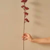 Trockenpflanze "Christmas Dal" in Rot - (H)75 cm