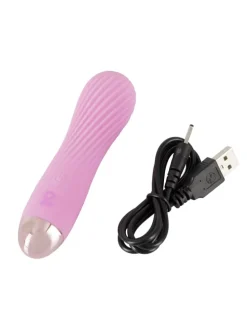 Vibrator Minivibrator in rosa