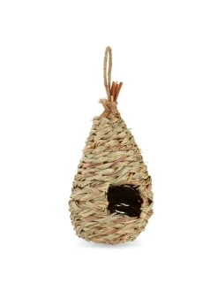Vogelnest in Natur