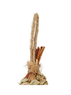 Vogelnest in Natur