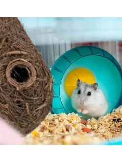Vogelnest