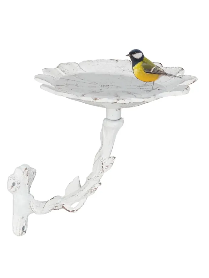 Vogeltränke Blütein Weiß