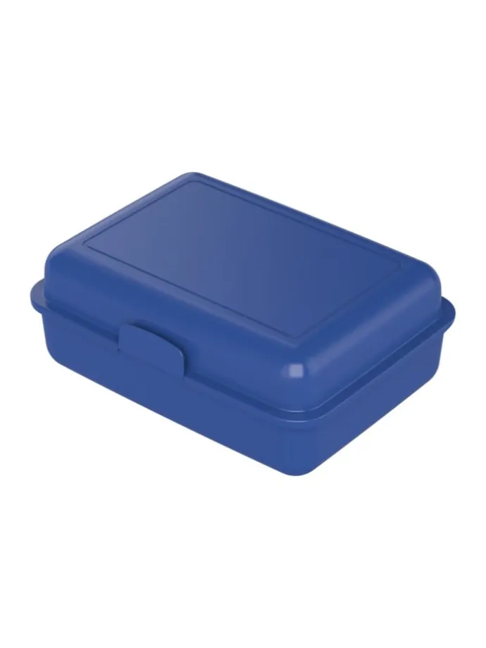 Vorratsdose "School-Box" groß in standard-blau PP - mit Trennschale