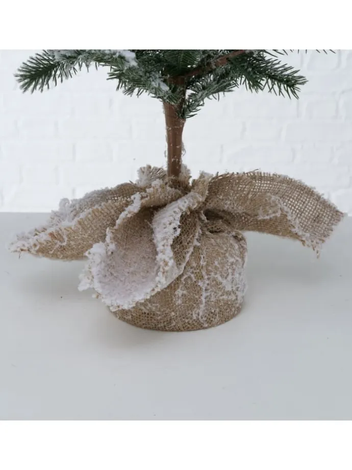 Weihnachtsbaum Mika in grün