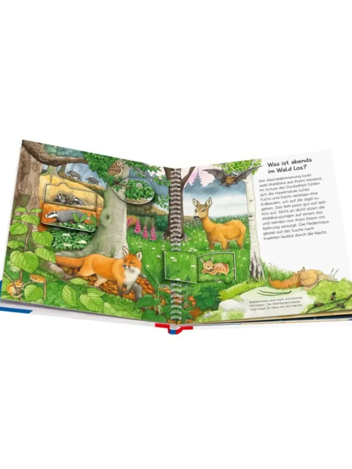 Wieso? Weshalb? Warum? junior, Band 33: Tiere bei uns