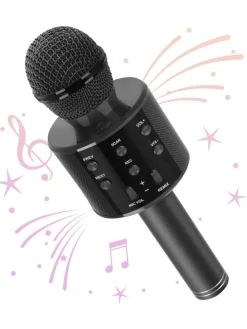 WS-858 Wireless Hifi Speaker Bluetooth Karaoke Mikrofon Schwarz