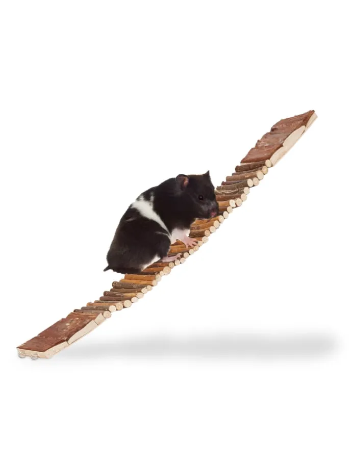 10x Hängebrücke in Natur - (B)55 x (T)10 cm